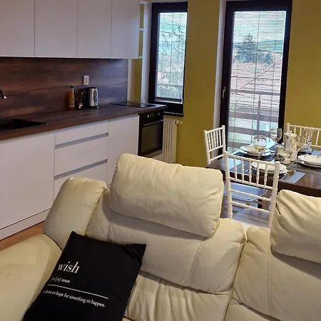 公寓 Luzianky 尼特拉